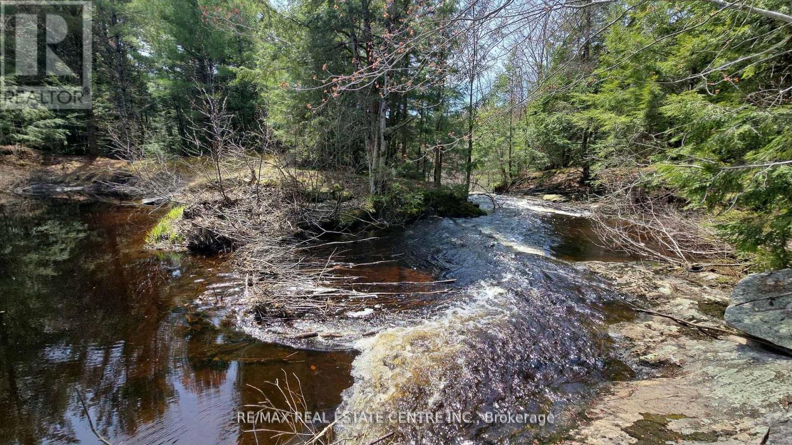 1033 North Shore Drive, Gravenhurst, Ontario  P1P 1R1 - Photo 5 - X13530948