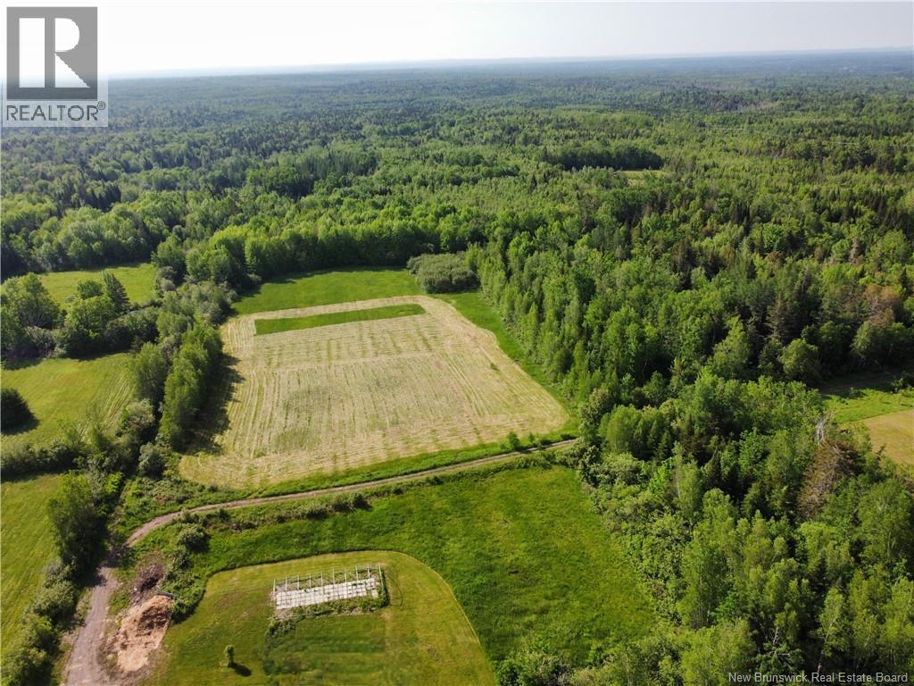 447 New Maryland Highway, New Maryland, New Brunswick E3C 2H5 - Photo 6 - NB143491