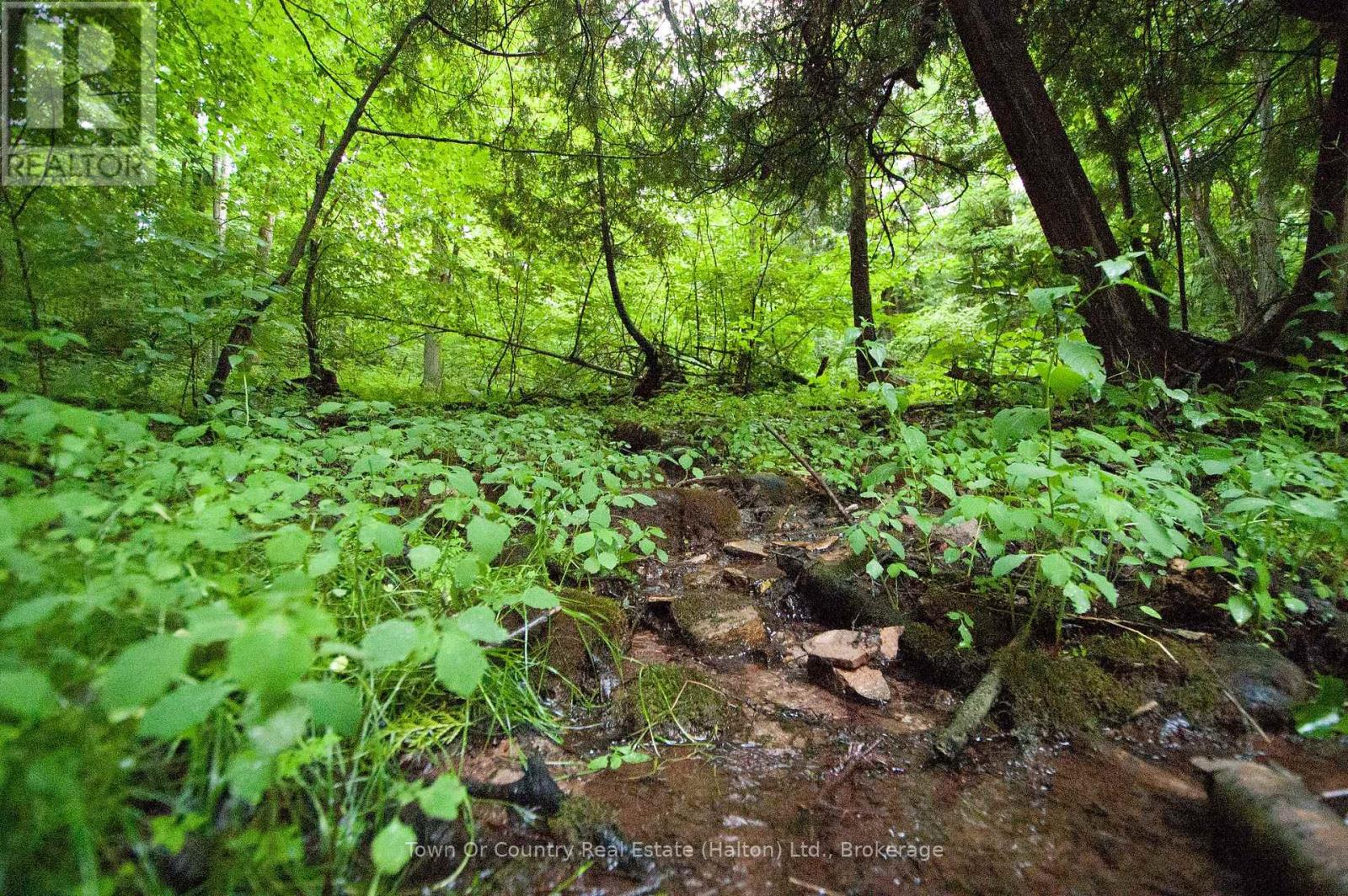 0 Fourth Line, Halton Hills, Ontario  L7J 2M1 - Photo 15 - W13531398