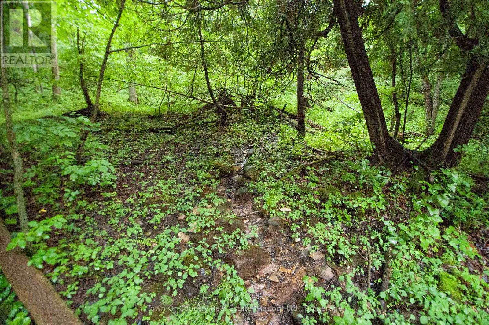 0 Fourth Line, Halton Hills, Ontario  L7J 2M1 - Photo 18 - W13531398