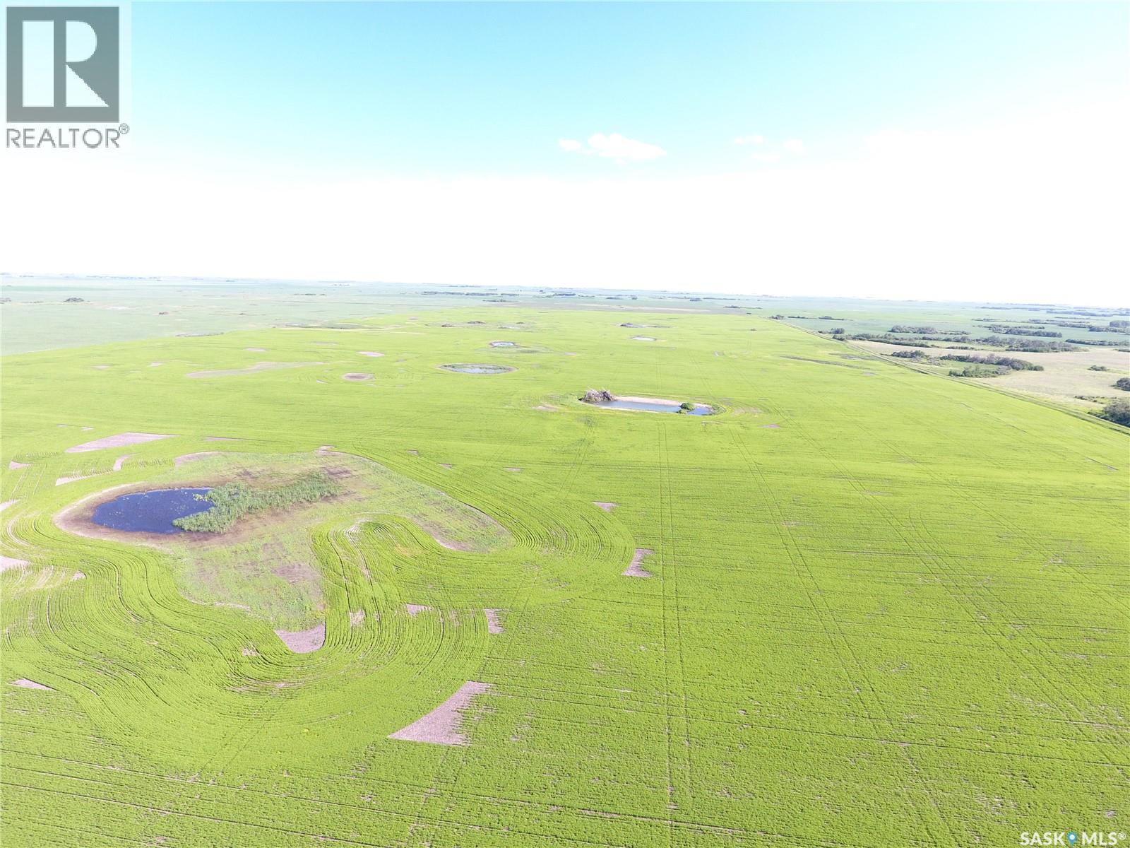 Neels Land, Francis Rm No. 127, Saskatchewan  S0G 3S0 - Photo 16 - SK041609