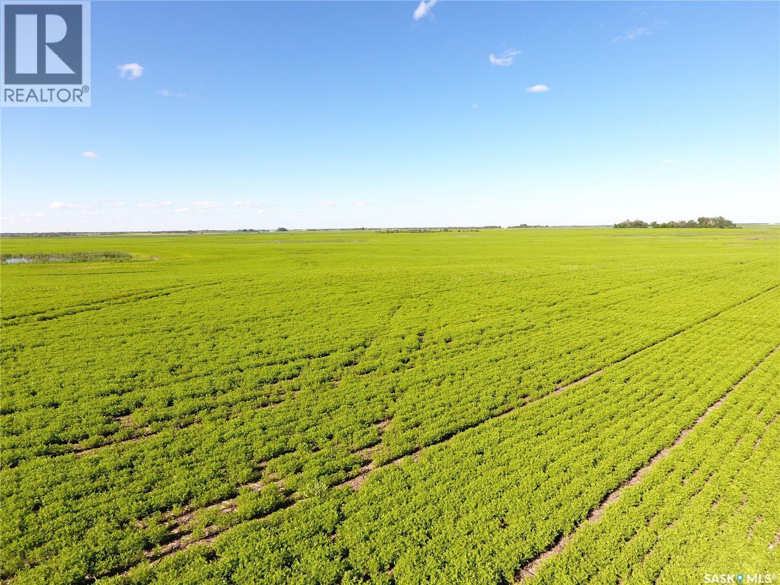 Neels Land, Francis Rm No. 127, Saskatchewan  S0G 3S0 - Photo 17 - SK041609