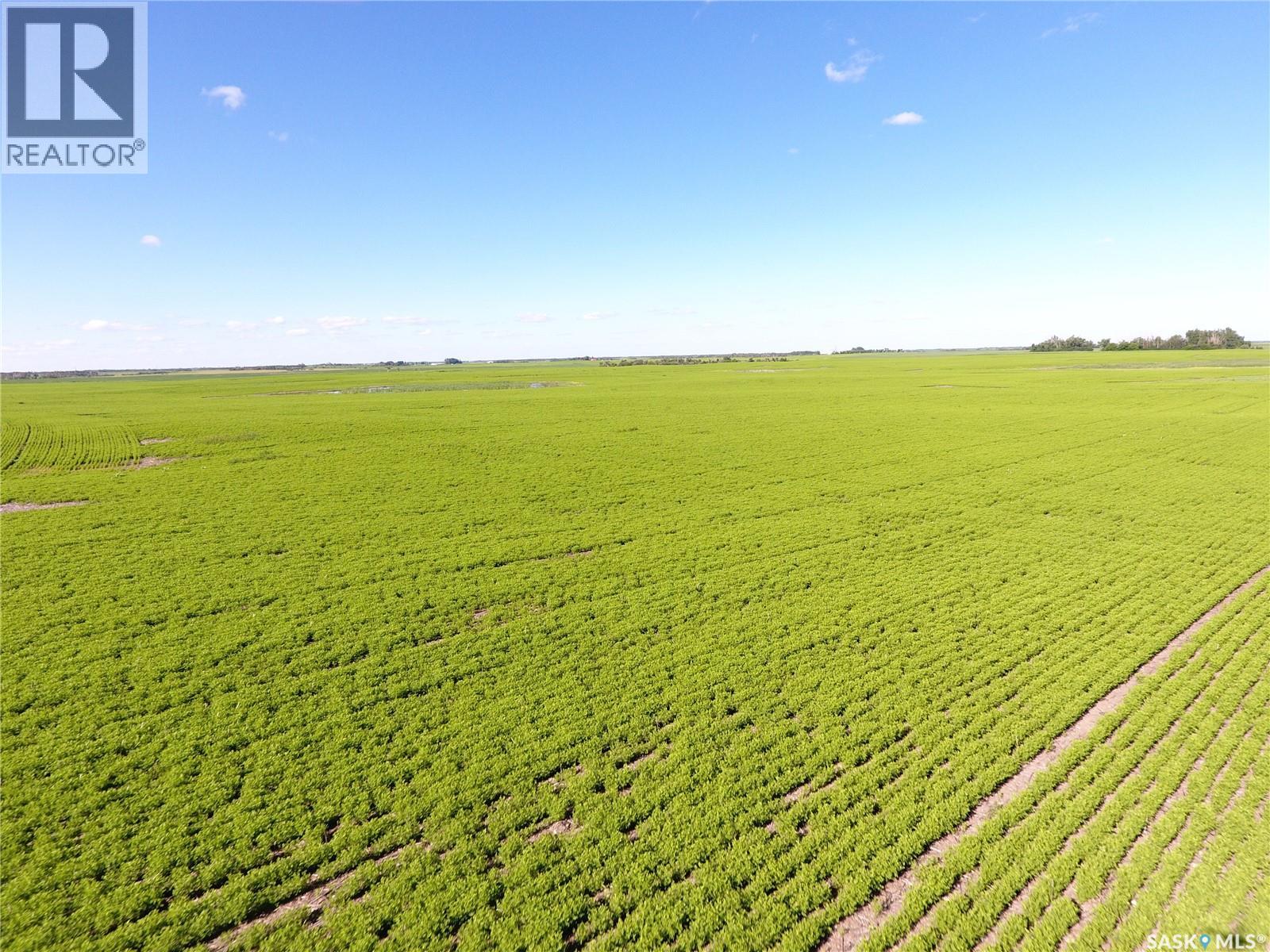 Neels Land, Francis Rm No. 127, Saskatchewan  S0G 3S0 - Photo 18 - SK041609
