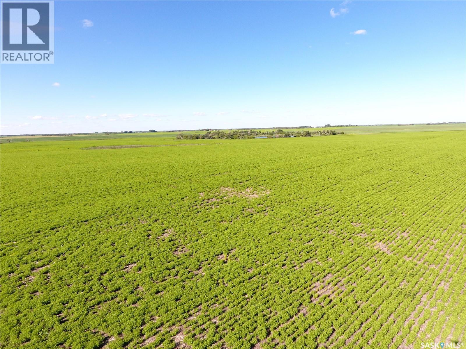 Neels Land, Francis Rm No. 127, Saskatchewan  S0G 3S0 - Photo 20 - SK041609