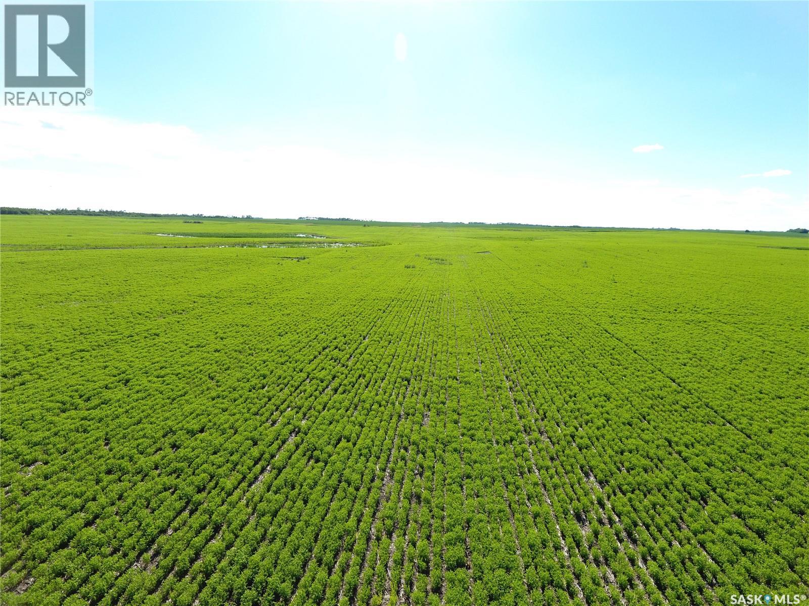 Neels Land, Francis Rm No. 127, Saskatchewan  S0G 3S0 - Photo 21 - SK041609