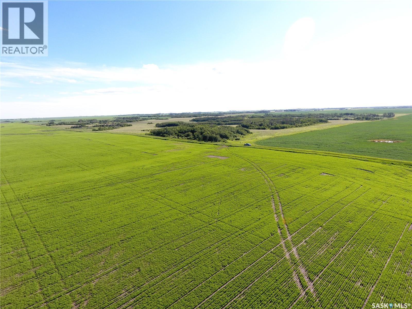 Neels Land, Francis Rm No. 127, Saskatchewan  S0G 3S0 - Photo 24 - SK041609