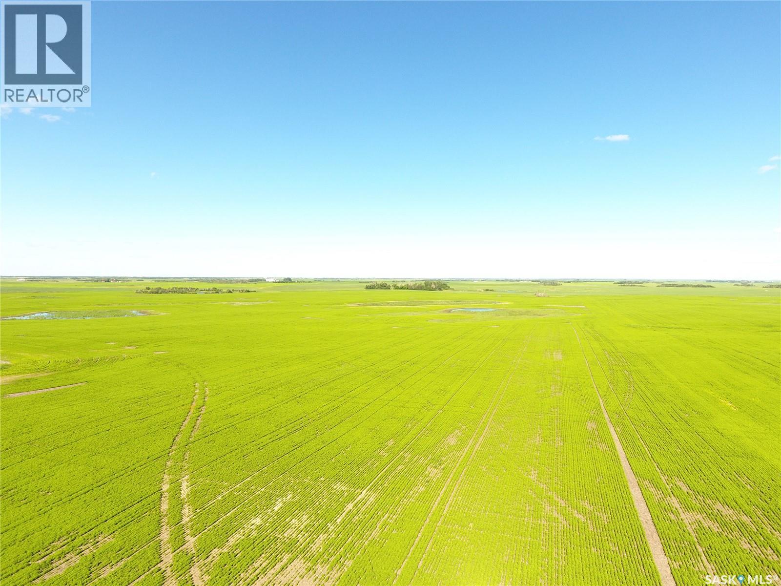 Neels Land, Francis Rm No. 127, Saskatchewan  S0G 3S0 - Photo 5 - SK041609