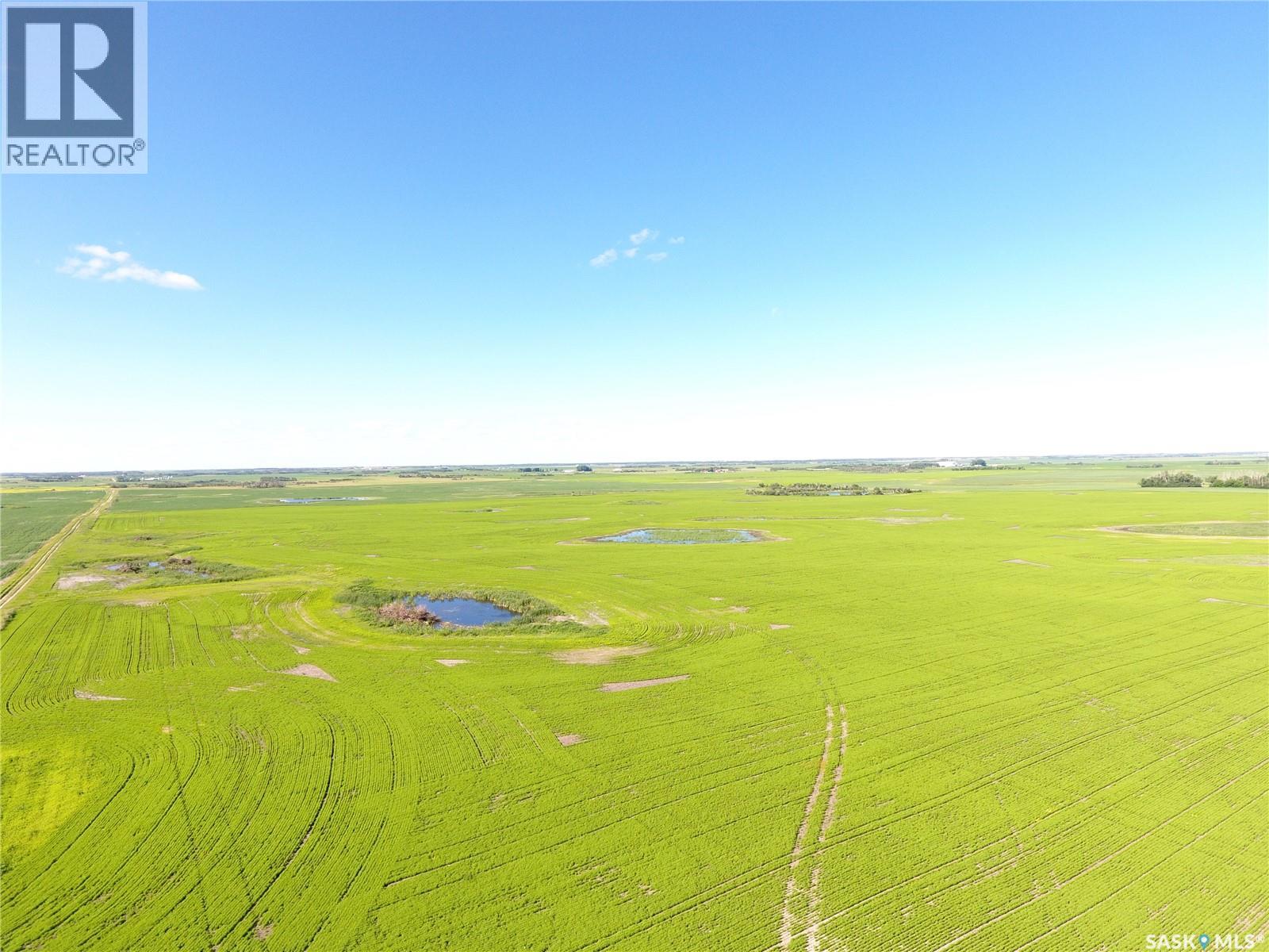 Neels Land, Francis Rm No. 127, Saskatchewan  S0G 3S0 - Photo 6 - SK041609