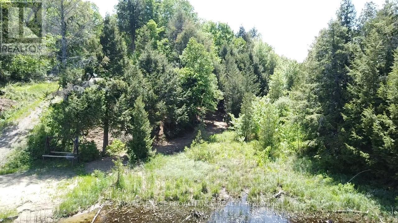 1140 Swaugers Creek Lane, Frontenac, Ontario  K0H 1C0 - Photo 12 - X13025354