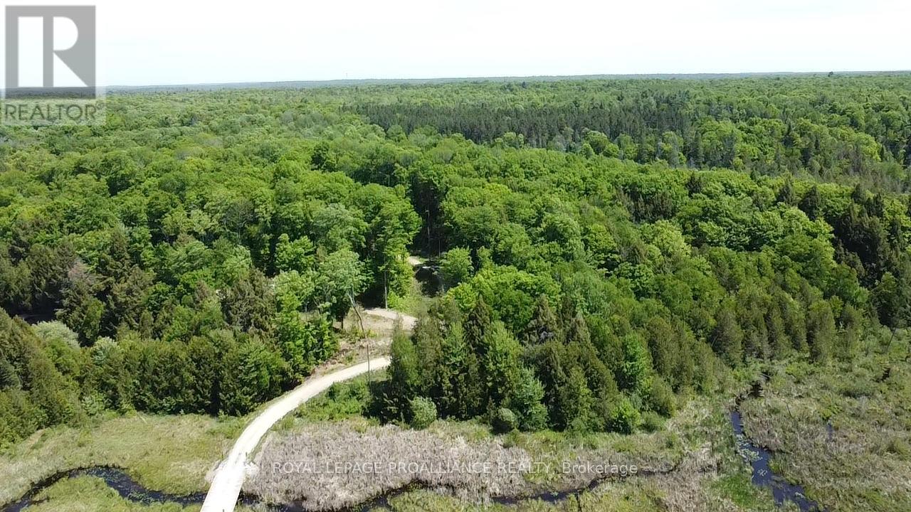 1140 Swaugers Creek Lane, Frontenac, Ontario  K0H 1C0 - Photo 5 - X13025354