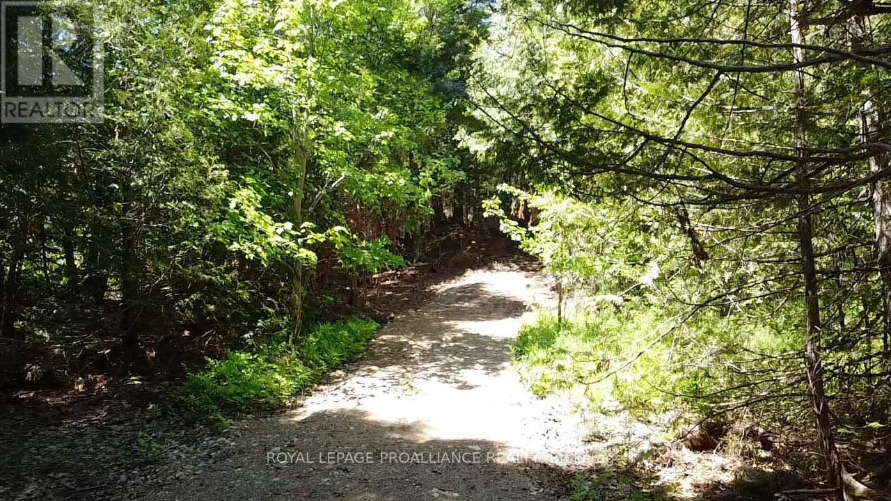 1140 Swaugers Creek Lane, Frontenac, Ontario  K0H 1C0 - Photo 17 - X13025354