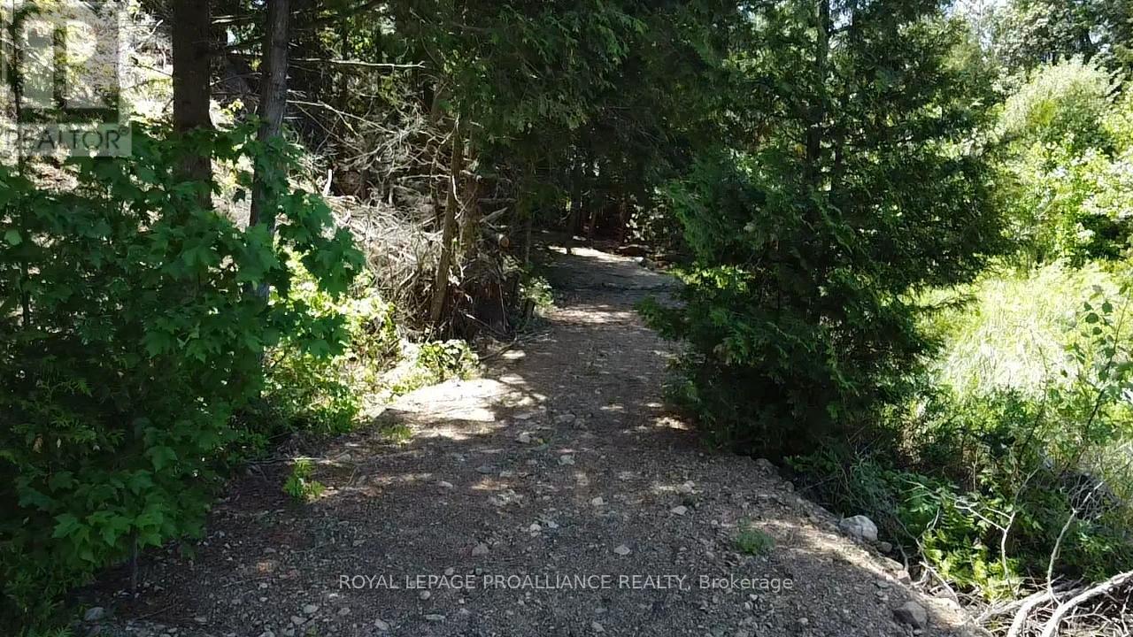 1140 Swaugers Creek Lane, Frontenac, Ontario  K0H 1C0 - Photo 18 - X13025354