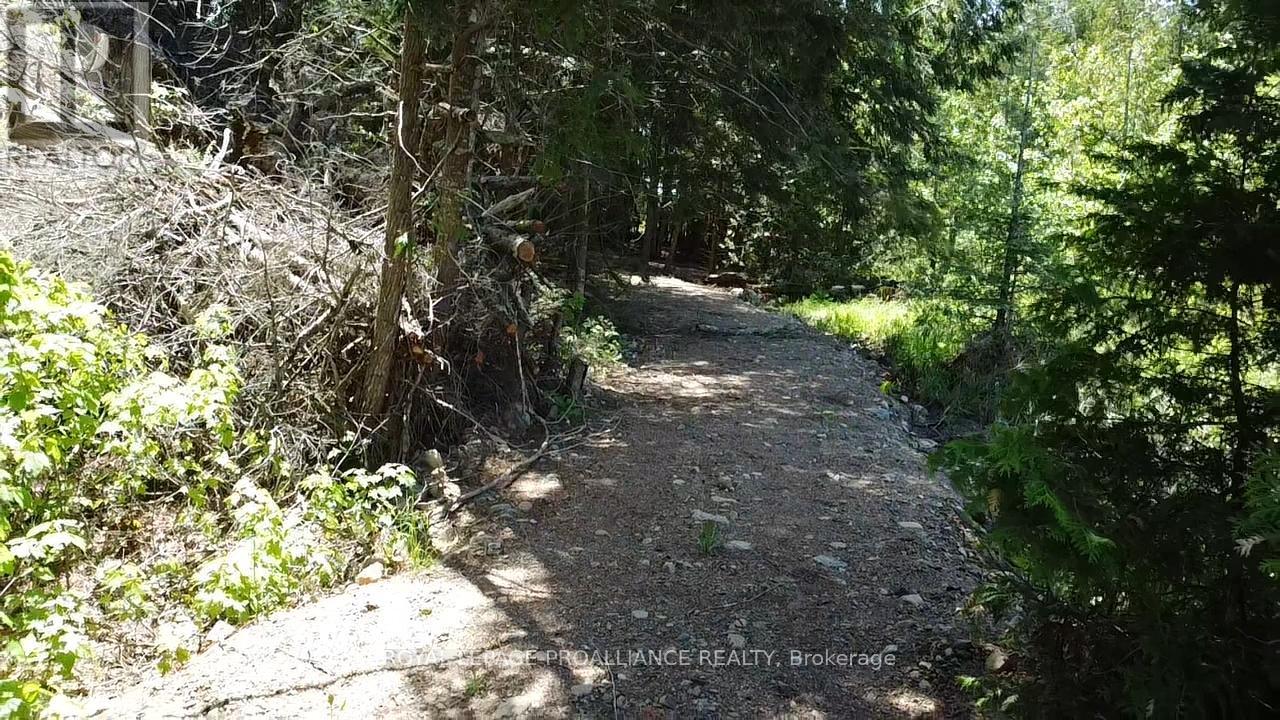 1140 Swaugers Creek Lane, Frontenac, Ontario  K0H 1C0 - Photo 19 - X13025354