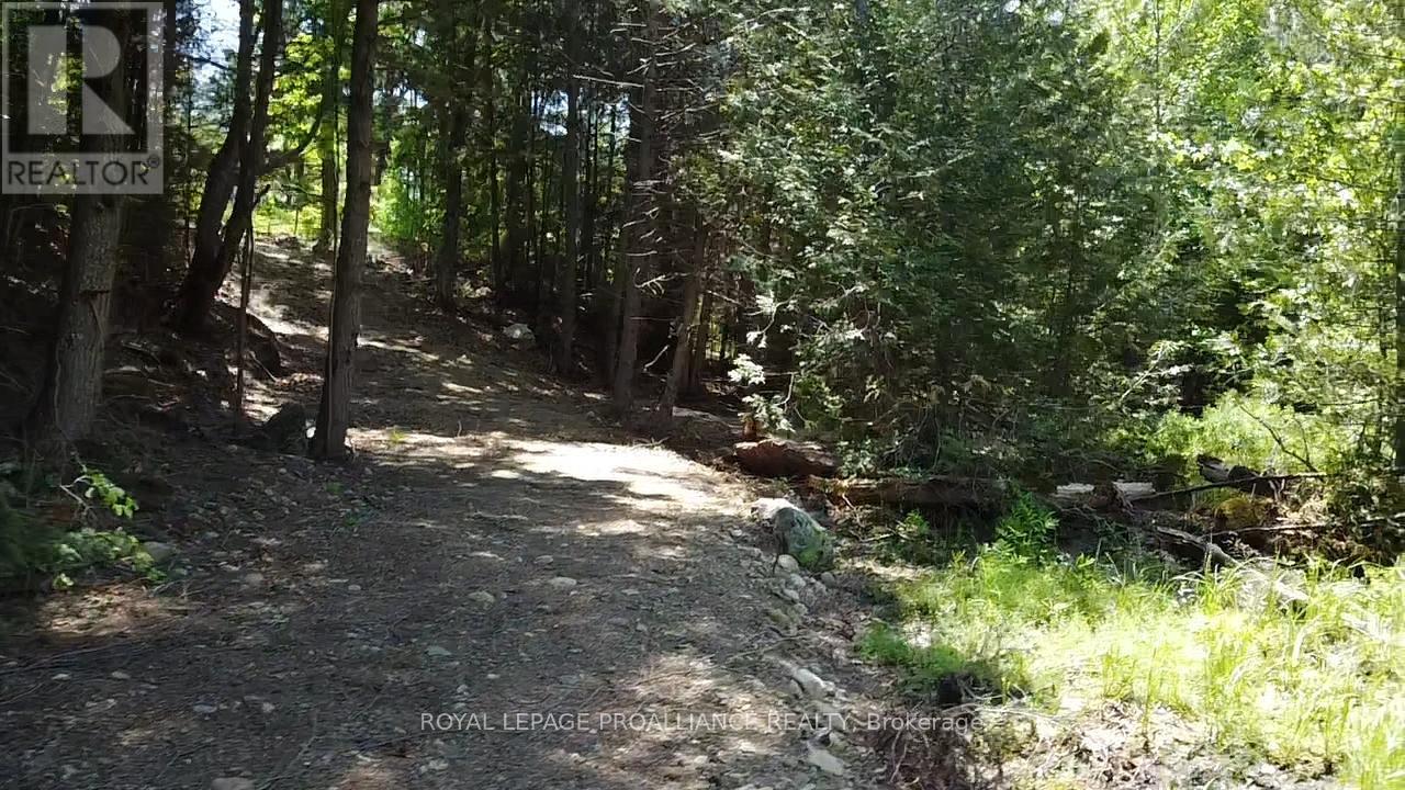 1140 Swaugers Creek Lane, Frontenac, Ontario  K0H 1C0 - Photo 20 - X13025354