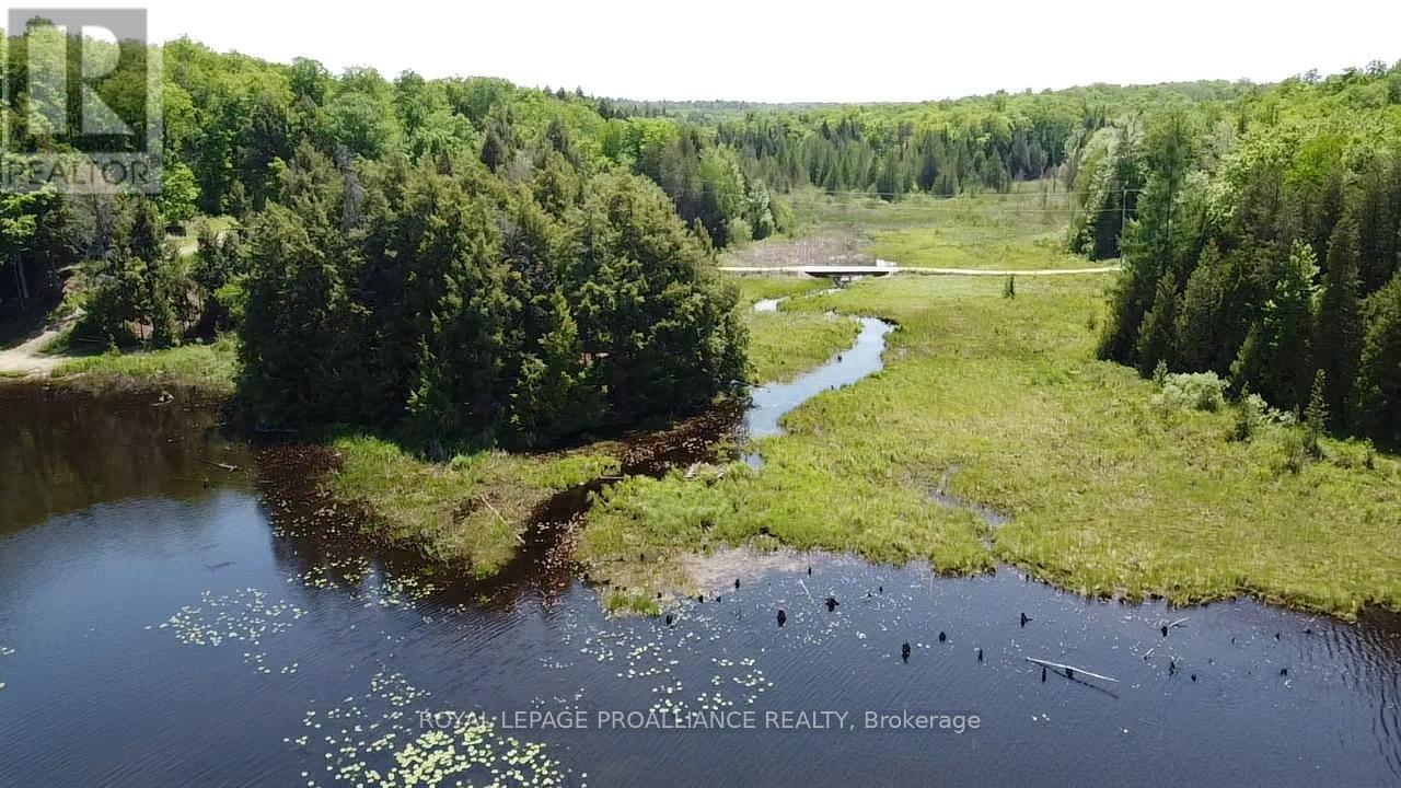 1140 Swaugers Creek Lane, Frontenac, Ontario  K0H 1C0 - Photo 14 - X13025354