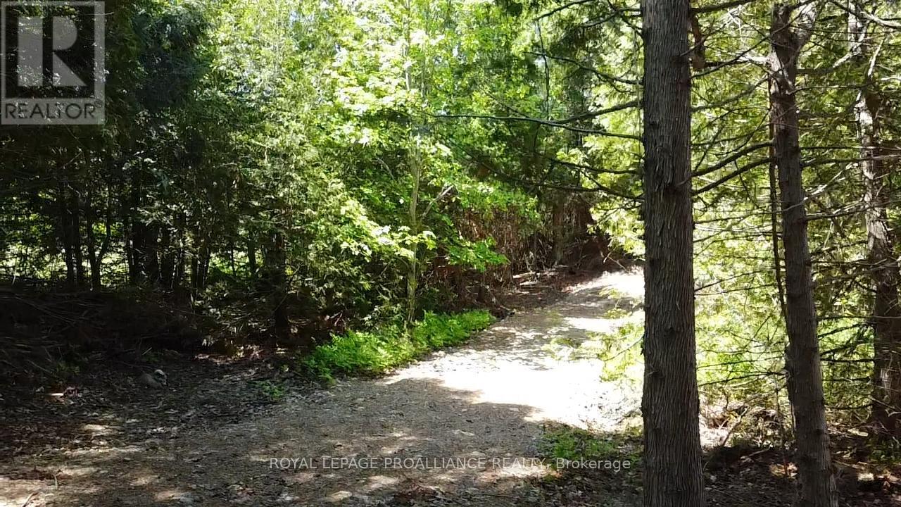 1140 Swaugers Creek Lane, Frontenac, Ontario  K0H 1C0 - Photo 16 - X13025354