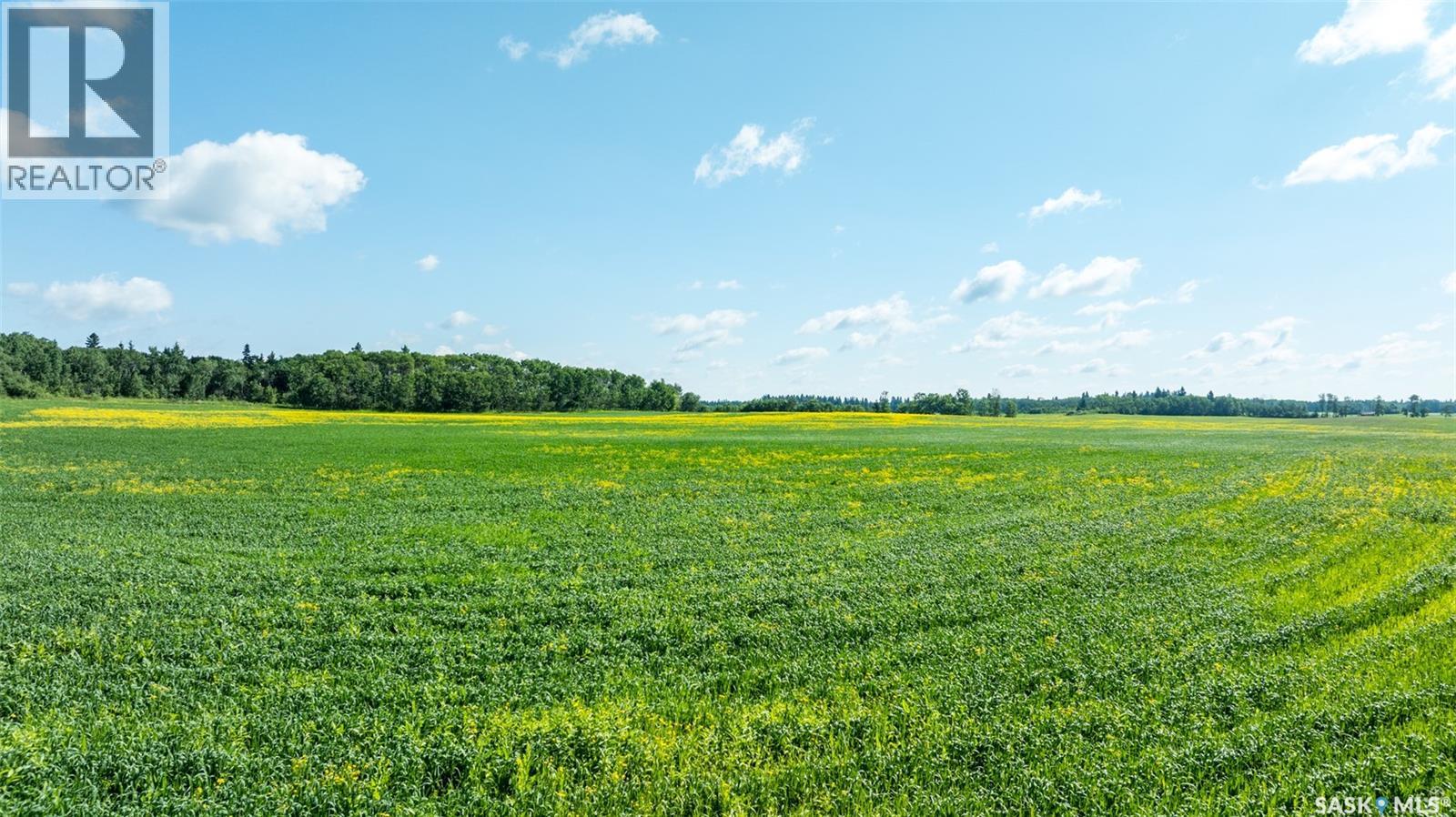 Kalyna Samburg Quarter, Garden River Rm No. 490, Saskatchewan  S6V 5R2 - Photo 3 - SK026796