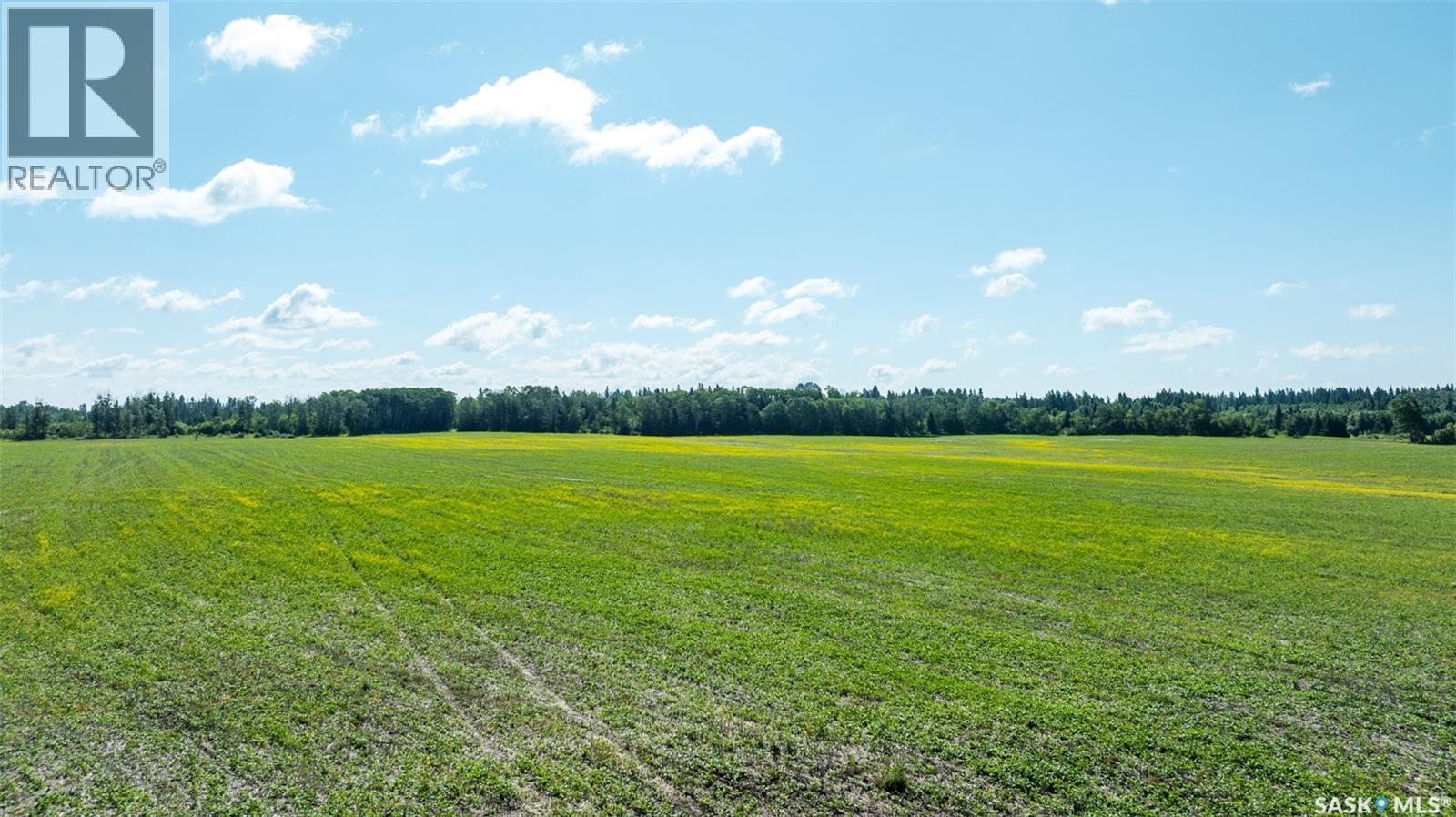 Kalyna Samburg Half, Garden River Rm No. 490, Saskatchewan  S6V 5R2 - Photo 3 - SK026798