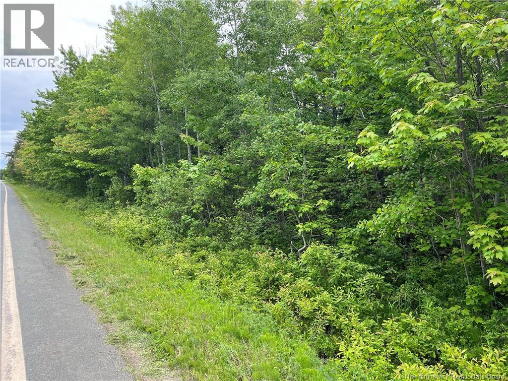 1446 CHATILLON, Maisonnette, New Brunswick