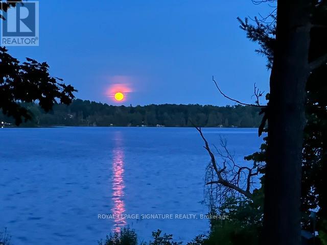 321 AVERY POINT ROAD, kawartha lakes (carden), Ontario