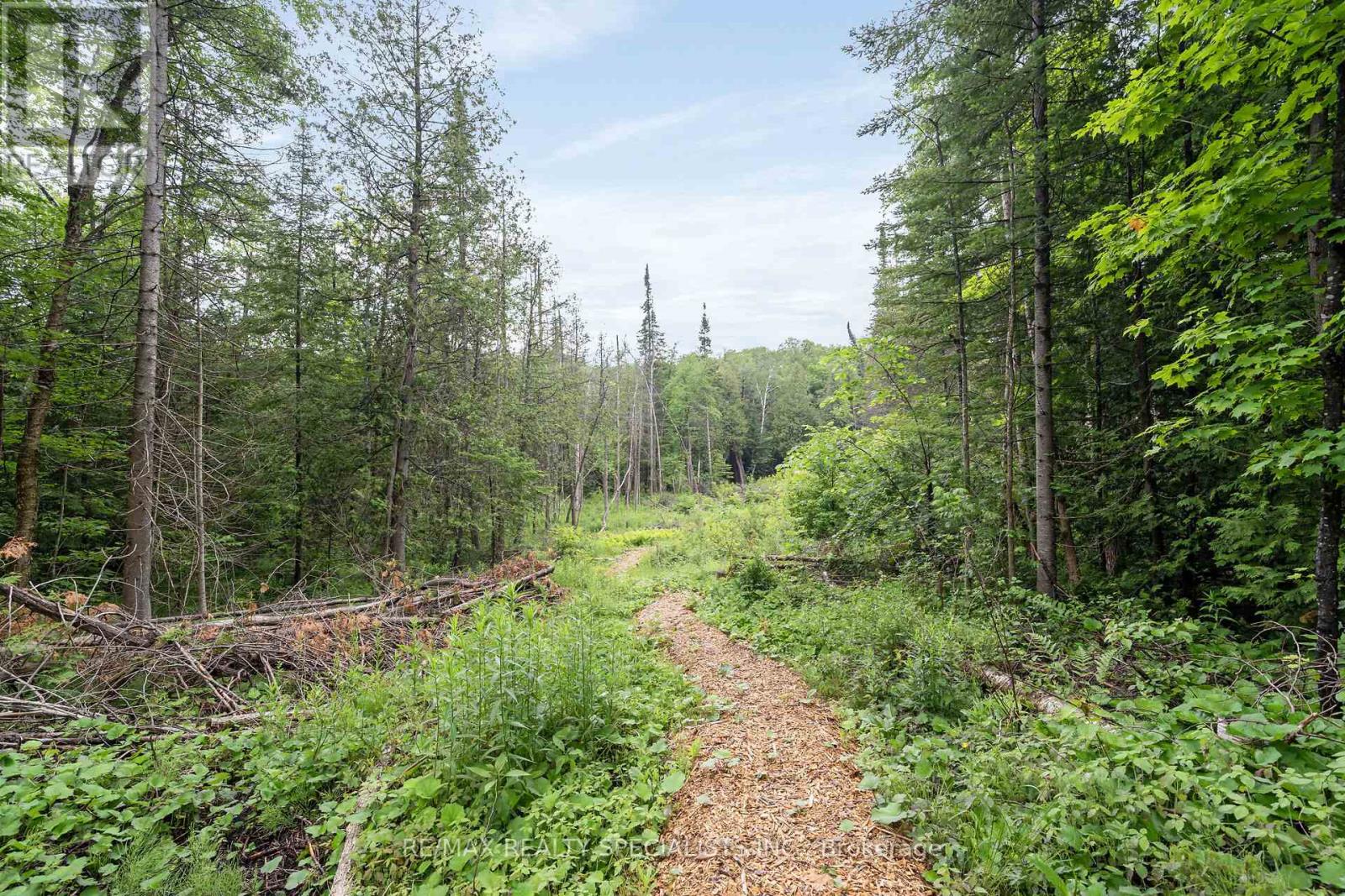913040 7th Line Ehs Line, Mono, Ontario  L9W 6J9 - Photo 36 - X13531822