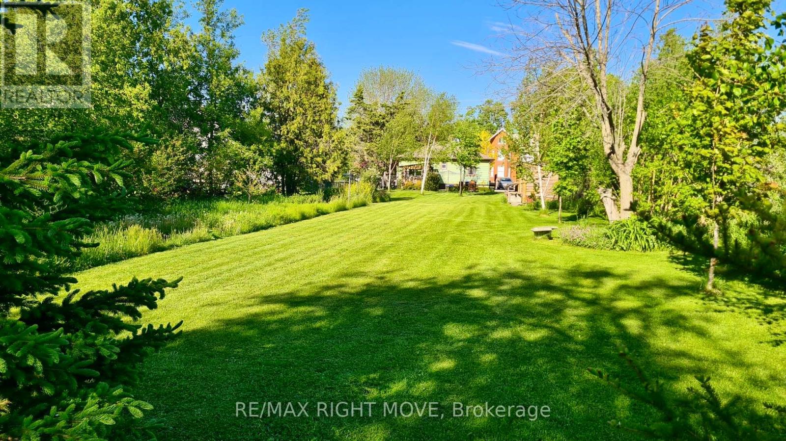 2344 12 Highway, Ramara, Ontario L0K 1B0 - Photo 22 - S13532072