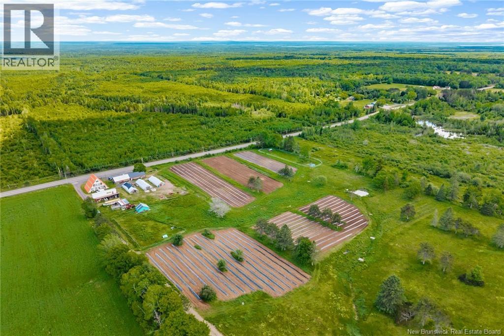 5925 Route 10, Hardwood Ridge, New Brunswick  E4A 1B4 - Photo 47 - NB143535