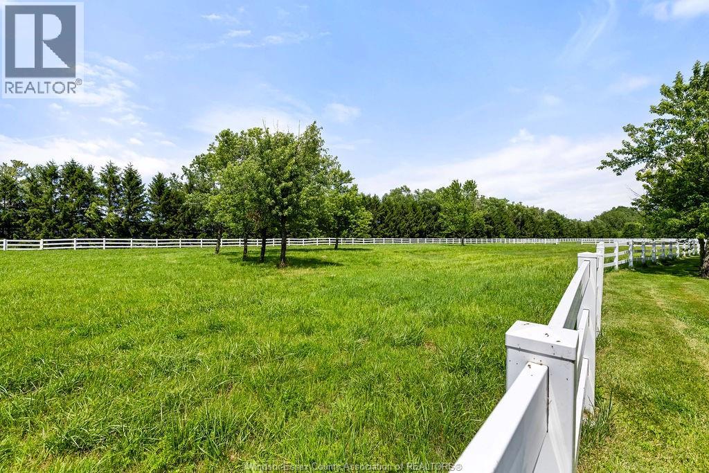 1420 County Rd 31, Lakeshore, Ontario  N0R 1S0 - Photo 6 - 26016275
