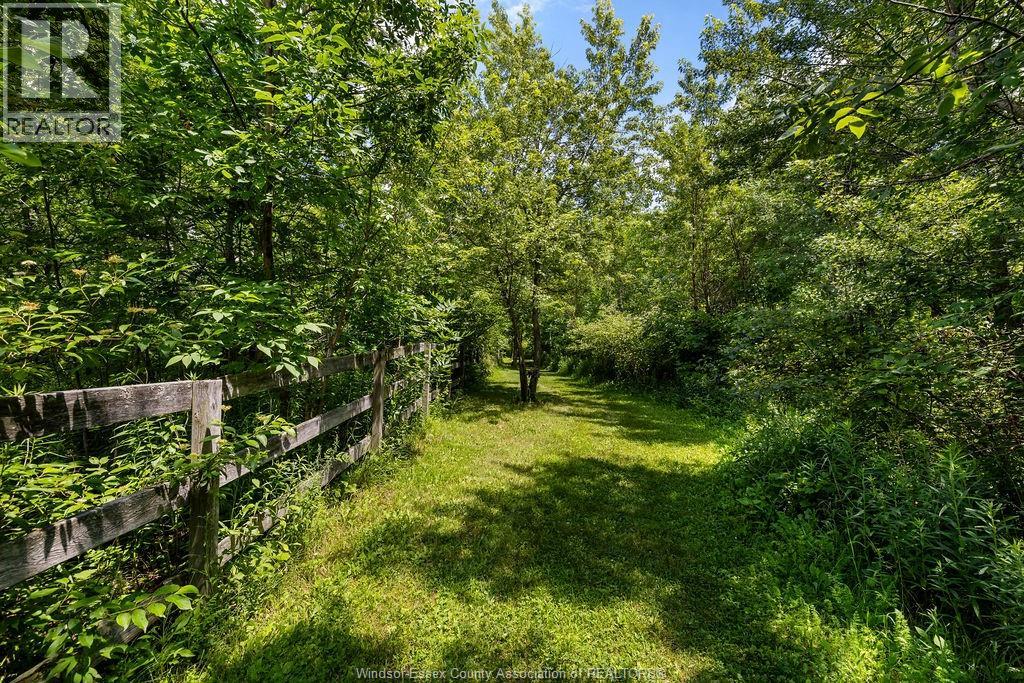 1418 County Rd 31, Lakeshore, Ontario N0R 1S0 - Photo 29 - 26016280