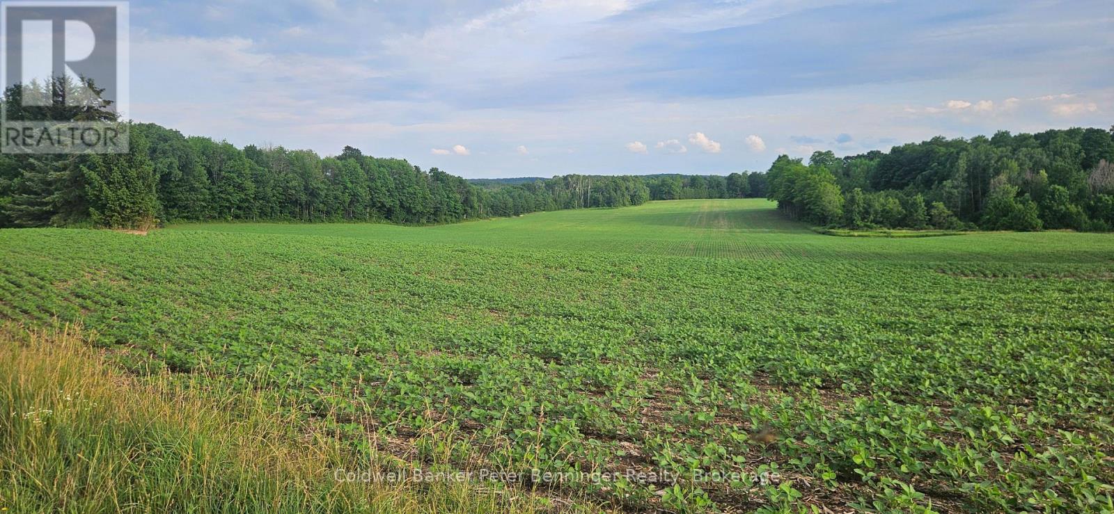 521268 Concession 12 Concession N, West Grey, Ontario N0G 1S0 - Photo 1 - X13532888