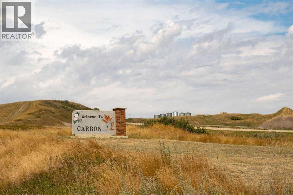 52 Diamond Valley Close, Carbon, Alberta  T0M 0L0 - Photo 4 - A2325944
