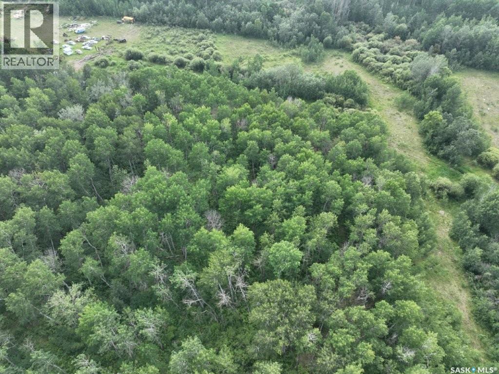 76 Acre Hunters Retreat Land, Hudson Bay, Saskatchewan  S0E 0Y0 - Photo 10 - SK041498