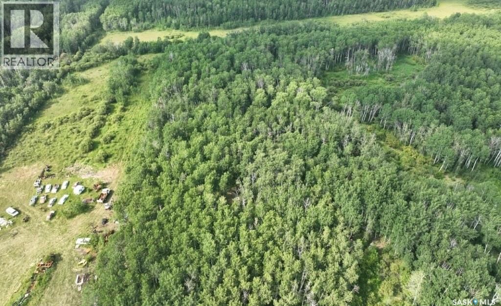 76 Acre Hunters Retreat Land, Hudson Bay, Saskatchewan  S0E 0Y0 - Photo 13 - SK041498
