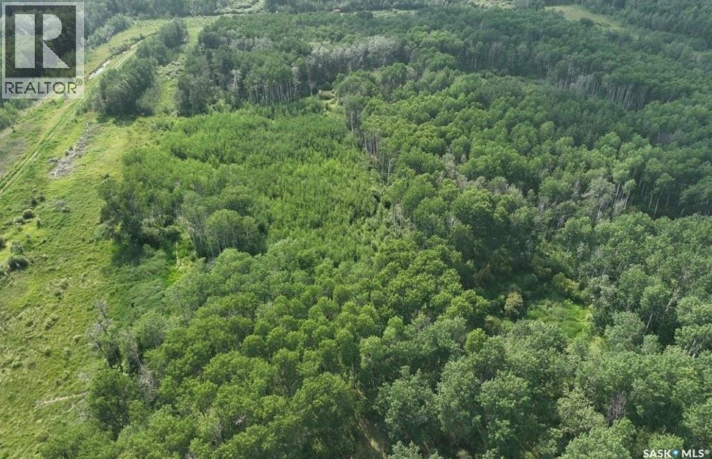 76 Acre Hunters Retreat Land, Hudson Bay, Saskatchewan  S0E 0Y0 - Photo 14 - SK041498