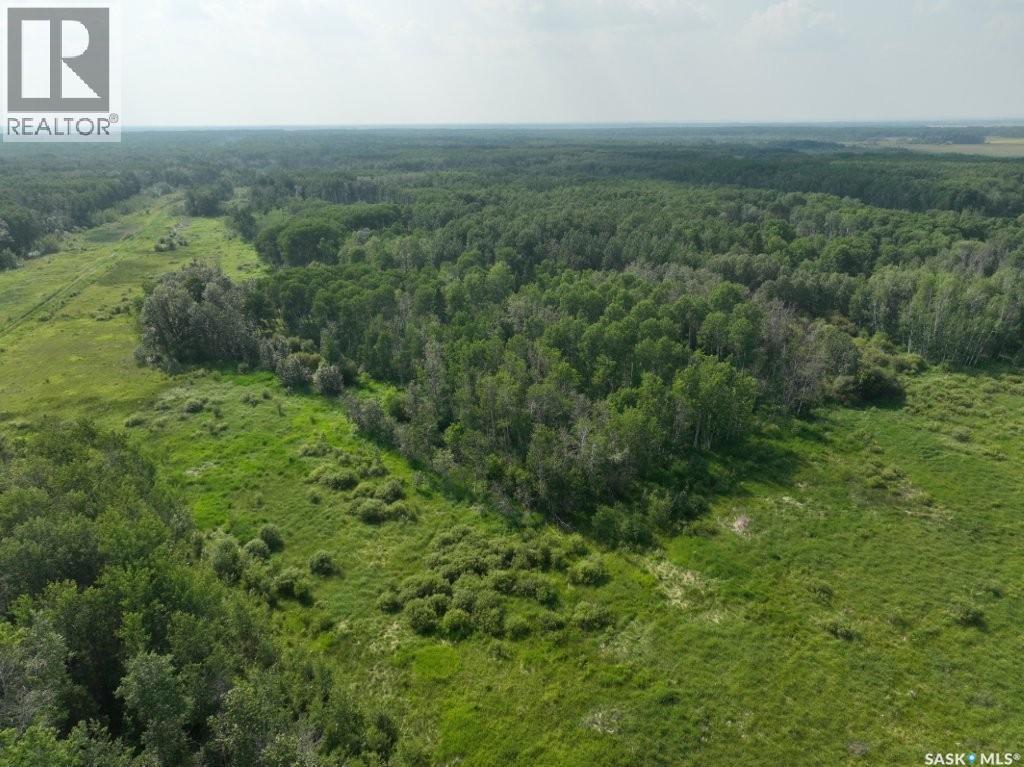 76 Acre Hunters Retreat Land, Hudson Bay, Saskatchewan  S0E 0Y0 - Photo 17 - SK041498
