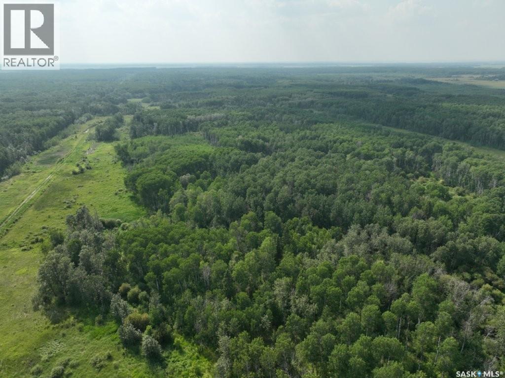 76 Acre Hunters Retreat Land, Hudson Bay, Saskatchewan  S0E 0Y0 - Photo 18 - SK041498