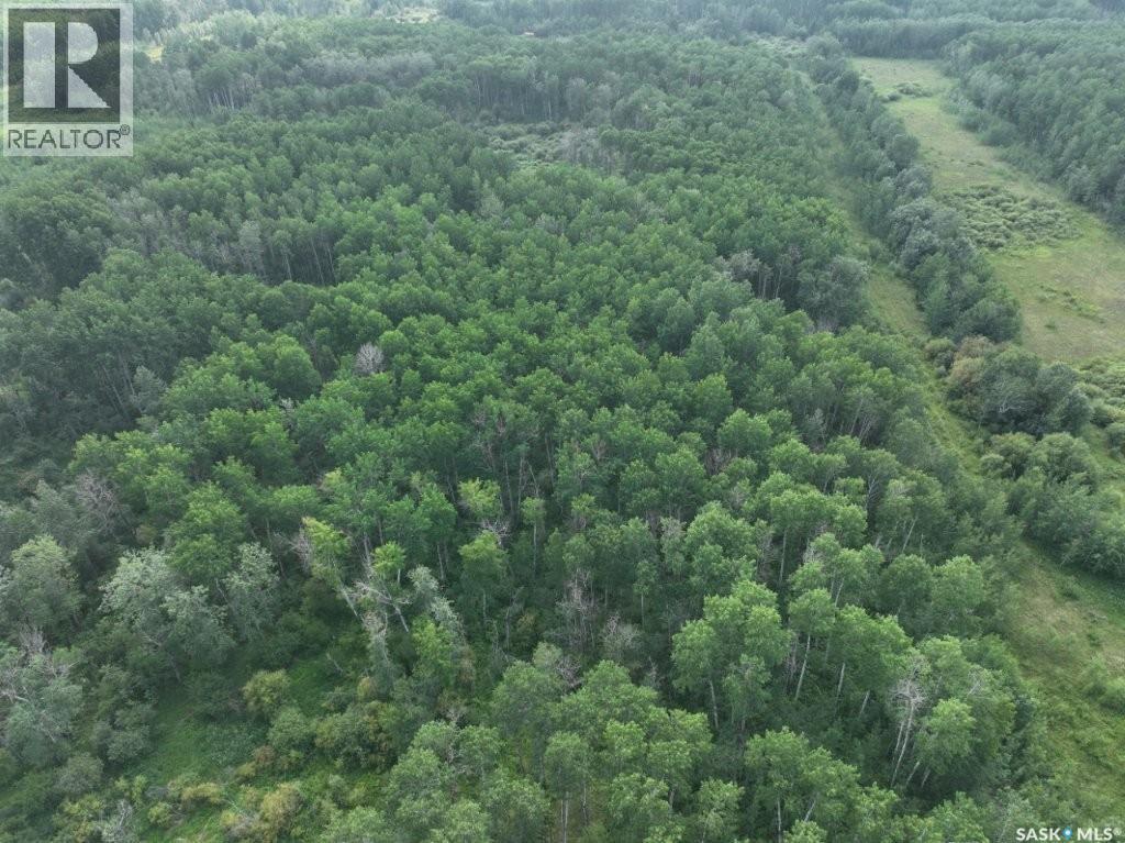 76 Acre Hunters Retreat Land, Hudson Bay, Saskatchewan  S0E 0Y0 - Photo 24 - SK041498
