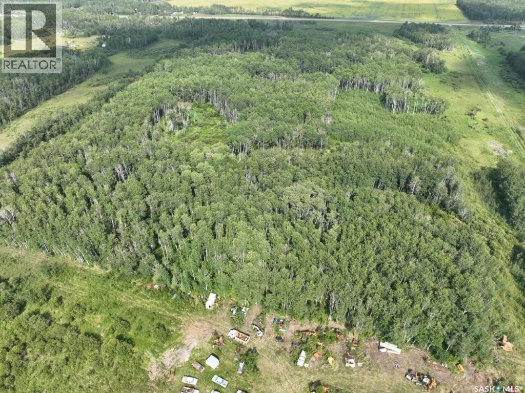 76 Acre Hunters Retreat Land, Hudson Bay, Saskatchewan  S0E 0Y0 - Photo 29 - SK041498