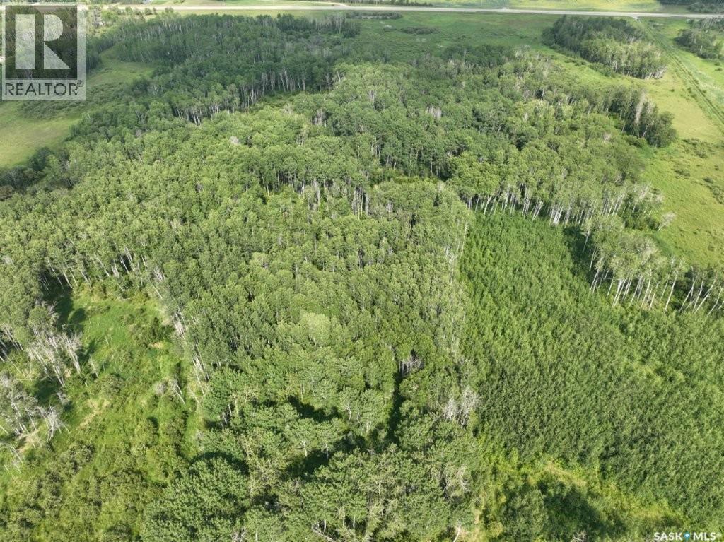 76 Acre Hunters Retreat Land, Hudson Bay, Saskatchewan  S0E 0Y0 - Photo 30 - SK041498
