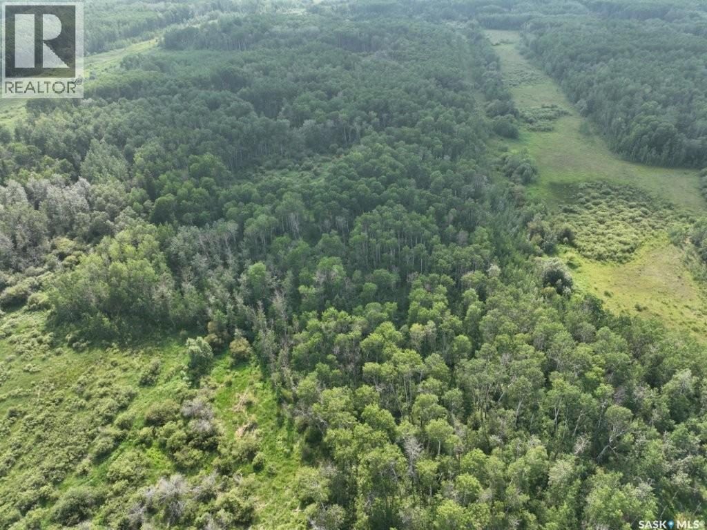 76 Acre Hunters Retreat Land, Hudson Bay, Saskatchewan  S0E 0Y0 - Photo 31 - SK041498