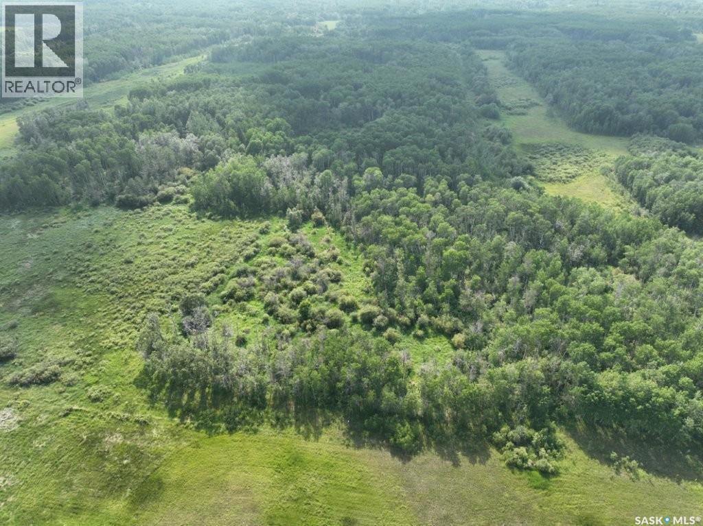 76 Acre Hunters Retreat Land, Hudson Bay, Saskatchewan  S0E 0Y0 - Photo 32 - SK041498