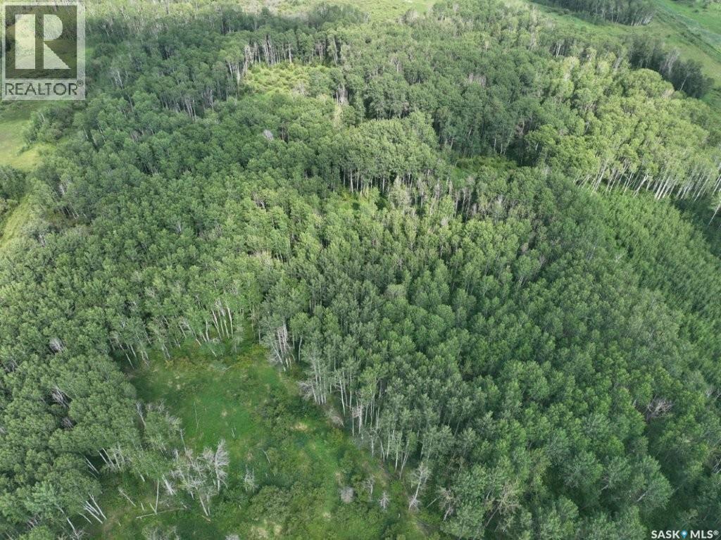 76 Acre Hunters Retreat Land, Hudson Bay, Saskatchewan  S0E 0Y0 - Photo 33 - SK041498