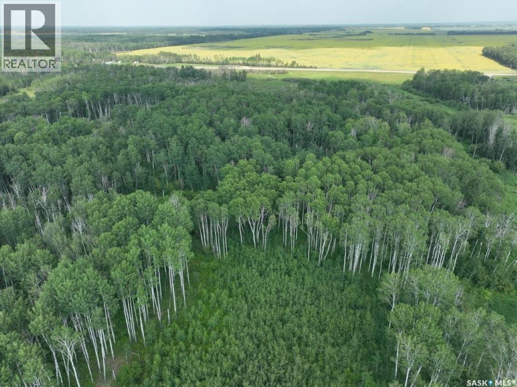 76 Acre Hunters Retreat Land, Hudson Bay, Saskatchewan  S0E 0Y0 - Photo 9 - SK041498