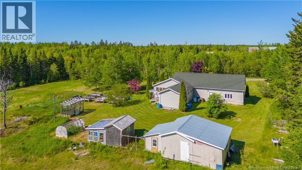 44 Fabien O. Street, Canton Des Basques, New Brunswick  E1X 2H5 - Photo 4 - NB143266