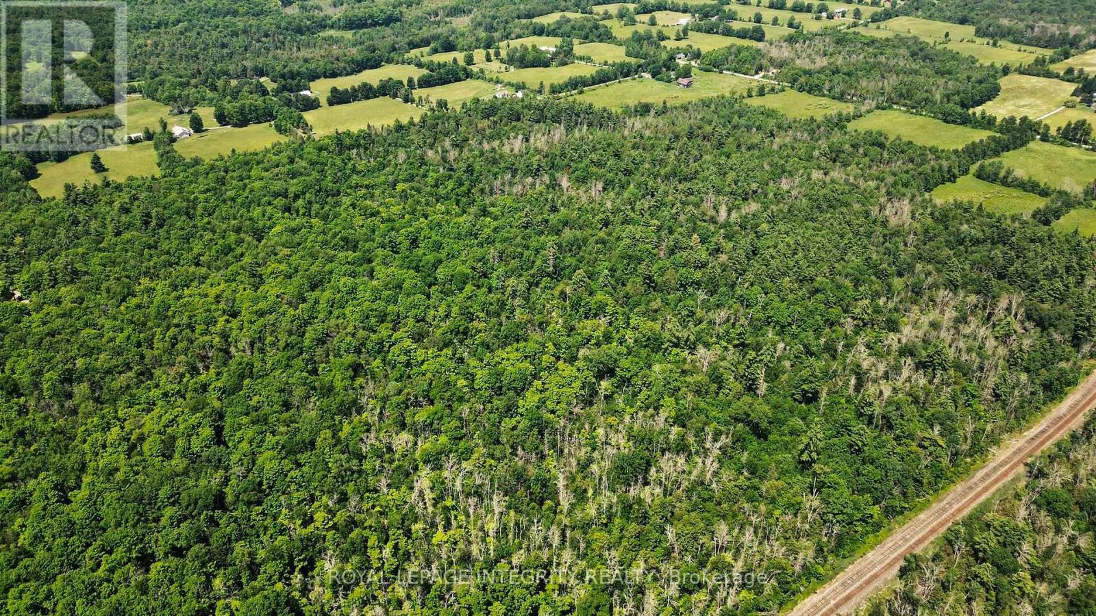 2657 Palmer Road, Tay Valley, Ontario  K7H 3C9 - Photo 10 - X13533130