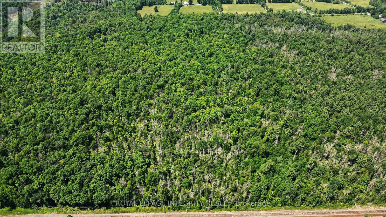 2657 Palmer Road, Tay Valley, Ontario  K7H 3C9 - Photo 11 - X13533130