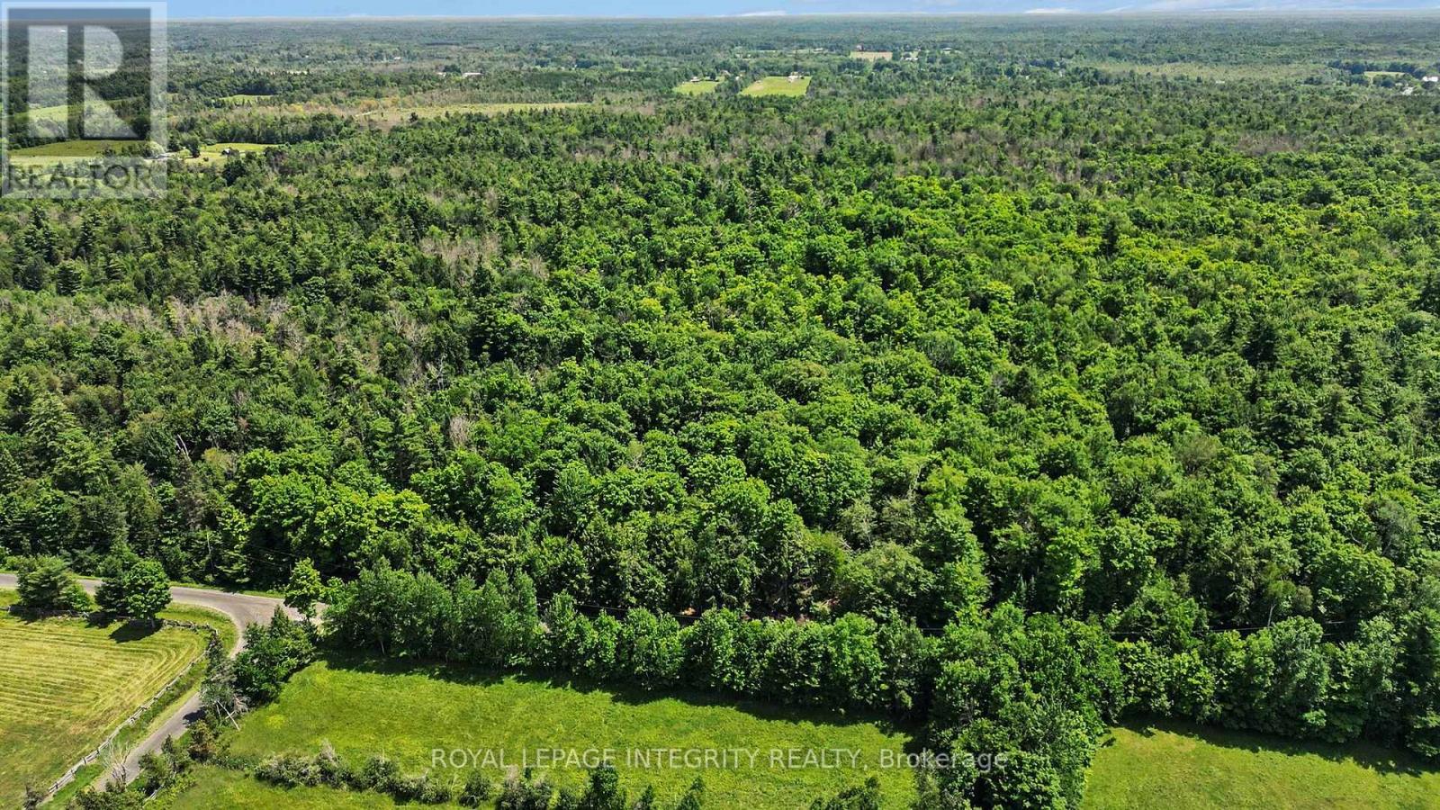 2657 Palmer Road, Tay Valley, Ontario  K7H 3C9 - Photo 8 - X13533130