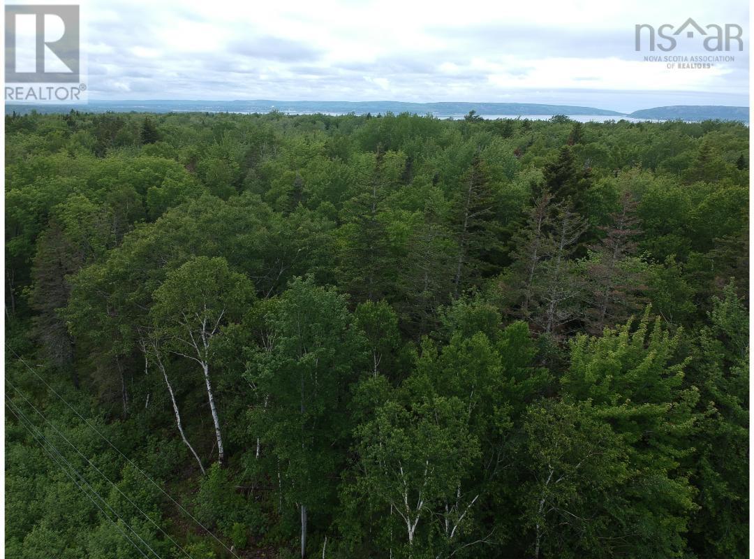 Lot 6 Waldeck Line Road, Waldeck, Nova Scotia  B0S 1J0 - Photo 3 - 202616774