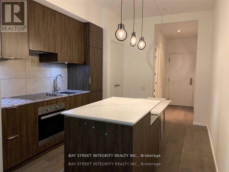 313 - 5 St Joseph Street, Toronto, Ontario  M4Y 1B6 - Photo 3 - C13533470