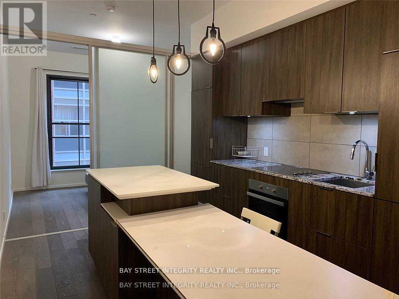 313 - 5 St Joseph Street, Toronto, Ontario  M4Y 1B6 - Photo 6 - C13533470
